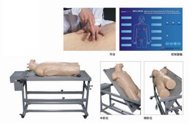 高级综合穿刺术与叩诊检查技能训练模拟人HK-L260A